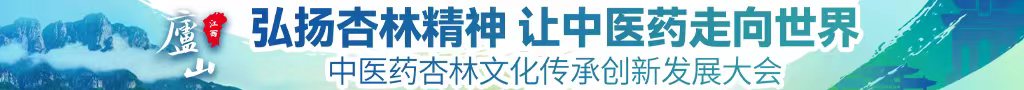 插骚逼里面中医药杏林文化传承创新发展大会